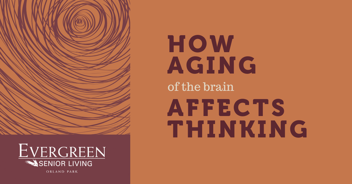 How Aging of the Brain Affects Thinking
