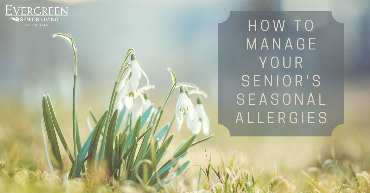 How to Manage your Senior’s Seasonal Allergies